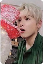 正規11合輯 專輯卡 