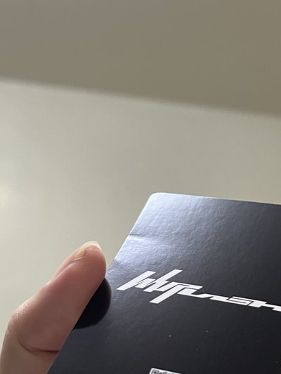 新春柚 —— ฅ՞•ﻌ•՞ฅ♥ ——