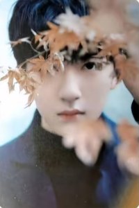 應援棒1.0 周邊卡 