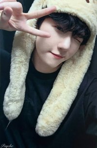 bolo5 京東 特典卡 