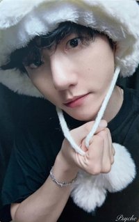 bolo5 京東 特典卡 