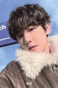 瑞士寫真 wm 特典卡 