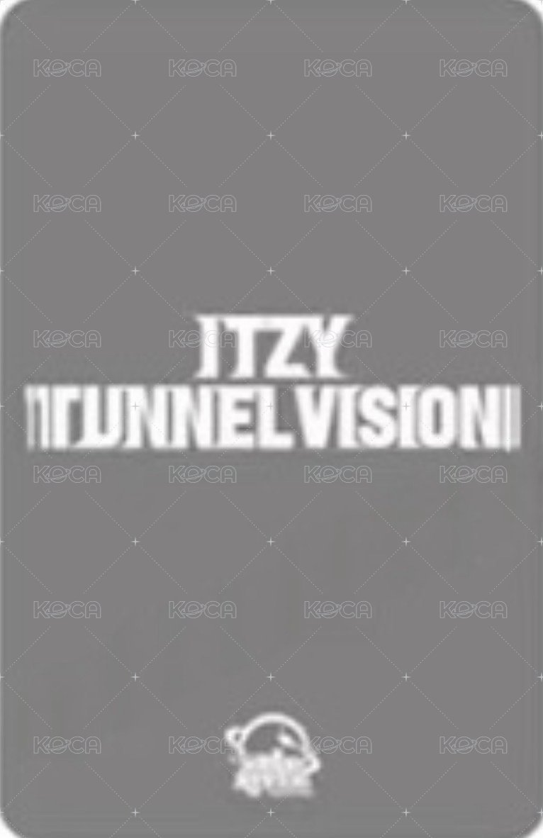 TNVS sr 預售 特典卡 分隊卡 背面