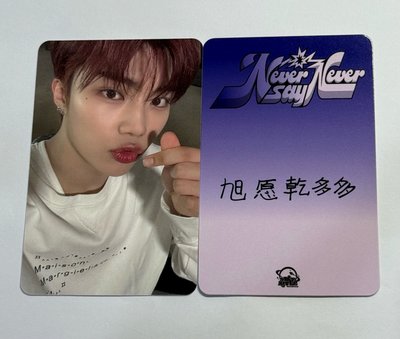 zb1預售中文卡背