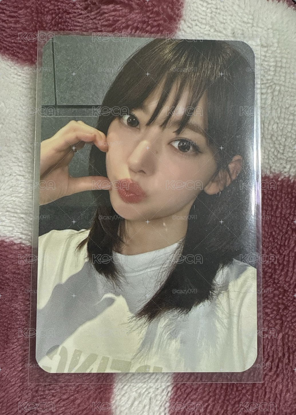 HOT JM 櫻花