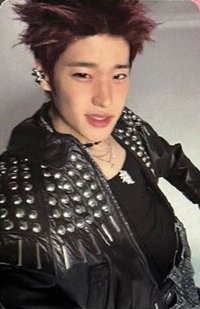 FAME 專輯卡 Catalogue