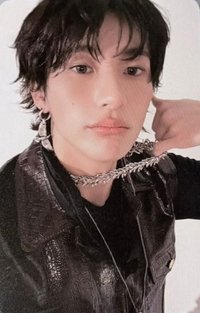 FAME 專輯卡 Catalogue