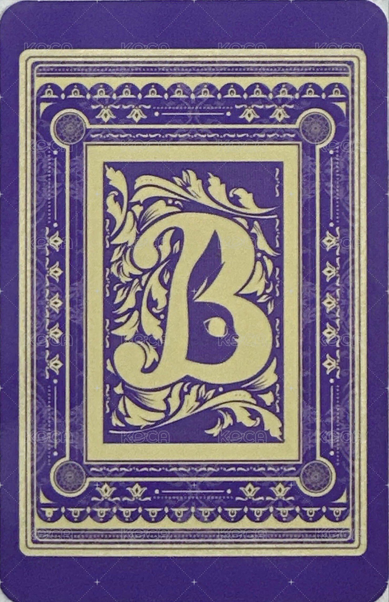 迷你二 專輯卡  背面