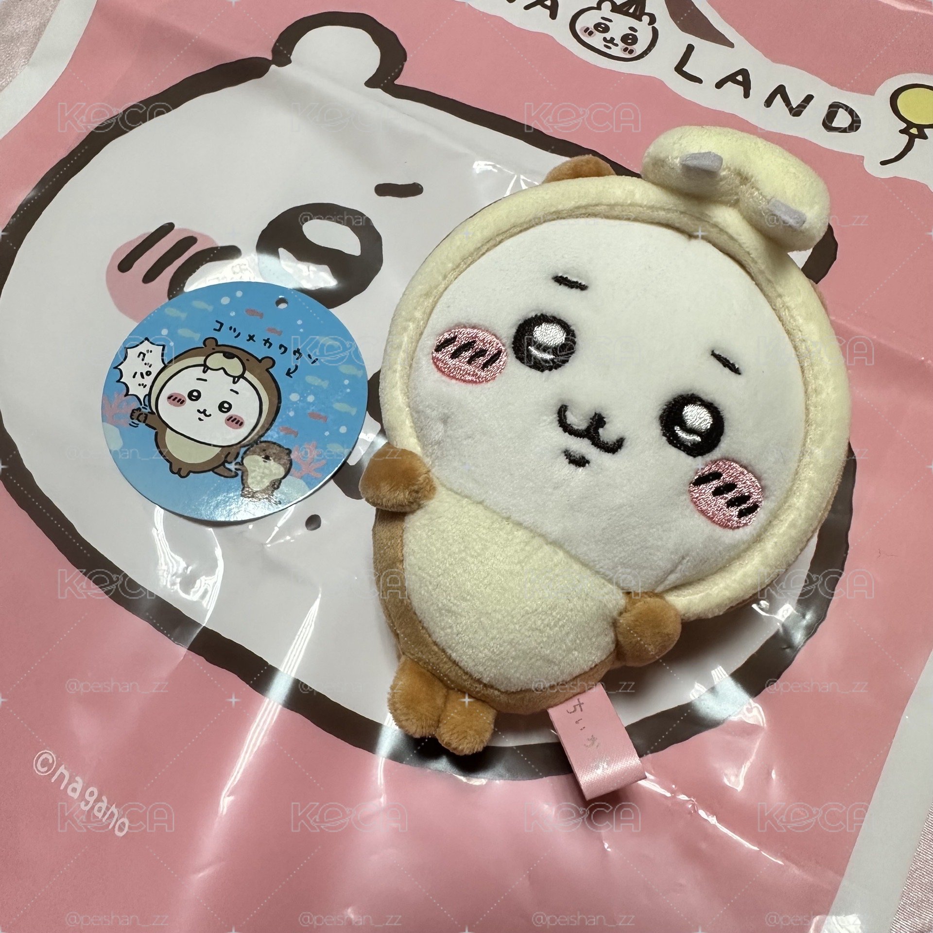 水獺吉伊