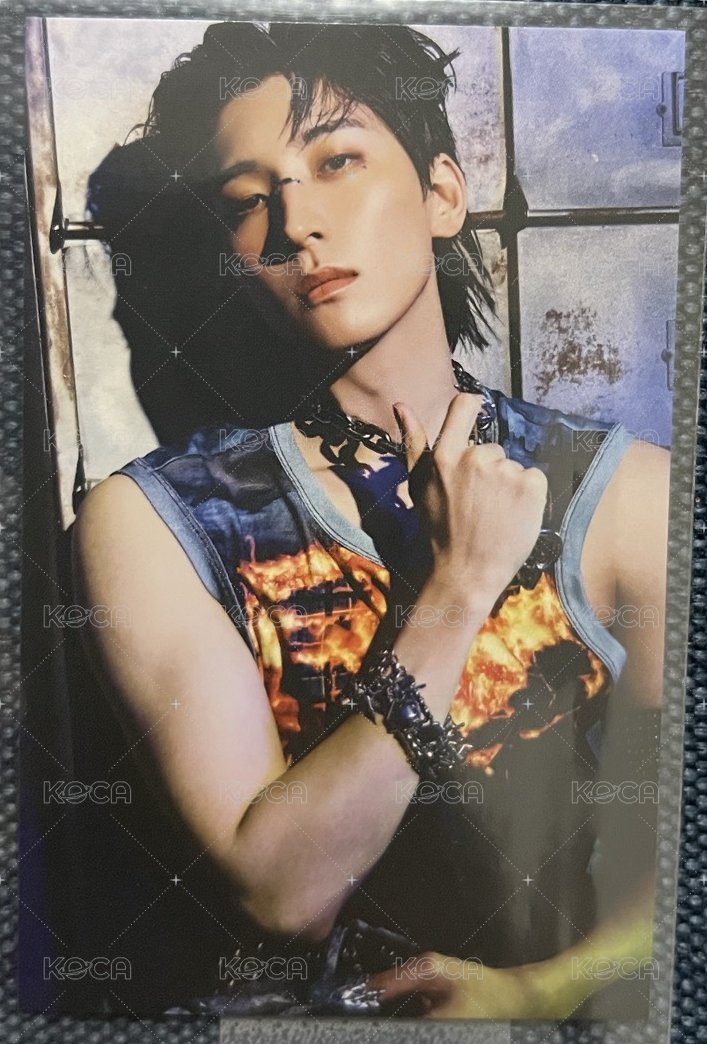 10週年 wvs 周邊卡 蠟燭卡 背面