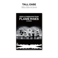 ‘FLAME RISES’ IN JAPAN 通常盤DVD