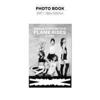 ‘FLAME RISES’ IN JAPAN 通常盤DVD
