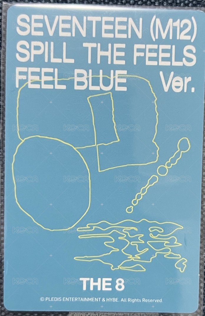 MINI12 wvs 周邊卡  背面