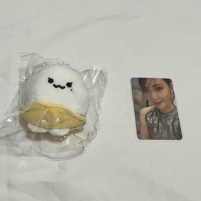 太妍演唱會The Tense官方周邊 TAENGGEU娃娃 太妍蛋 Forever1專卡 潤娥 允兒小卡 泰妍 少女時代