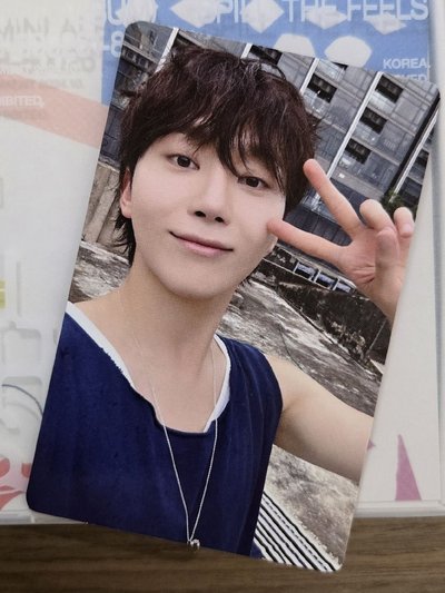 全專🪩迷12 Minil2 Kit Jun woozi Mingyu Seungkwan Vernon Dino