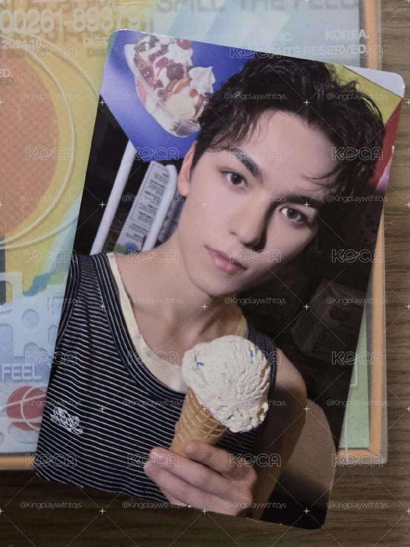 全專🪩迷12 Minil2 Kit Jun woozi Mingyu Seungkwan Vernon Dino