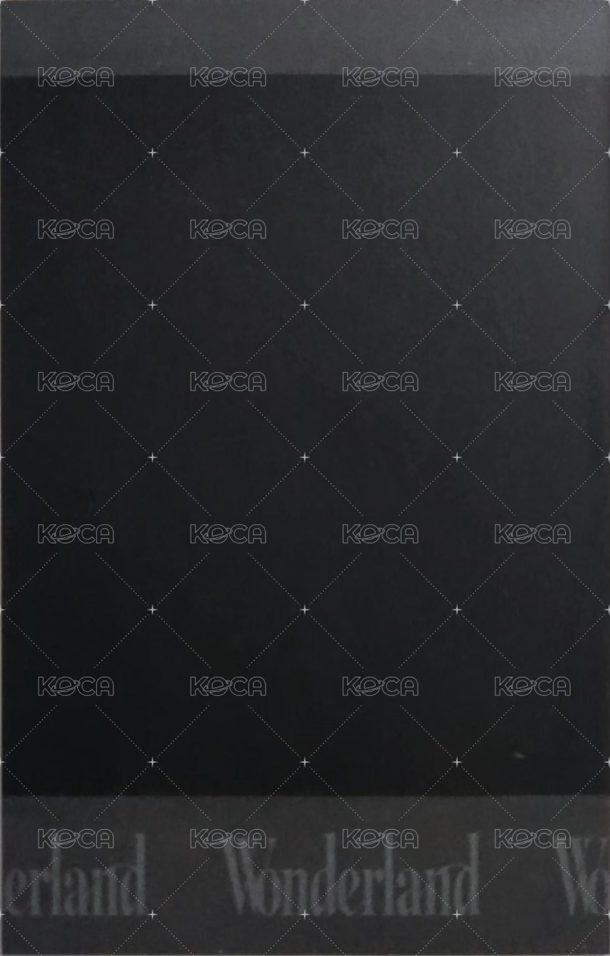 迷你八輯 專輯卡 拍立得小卡 Wonder ver. 背面