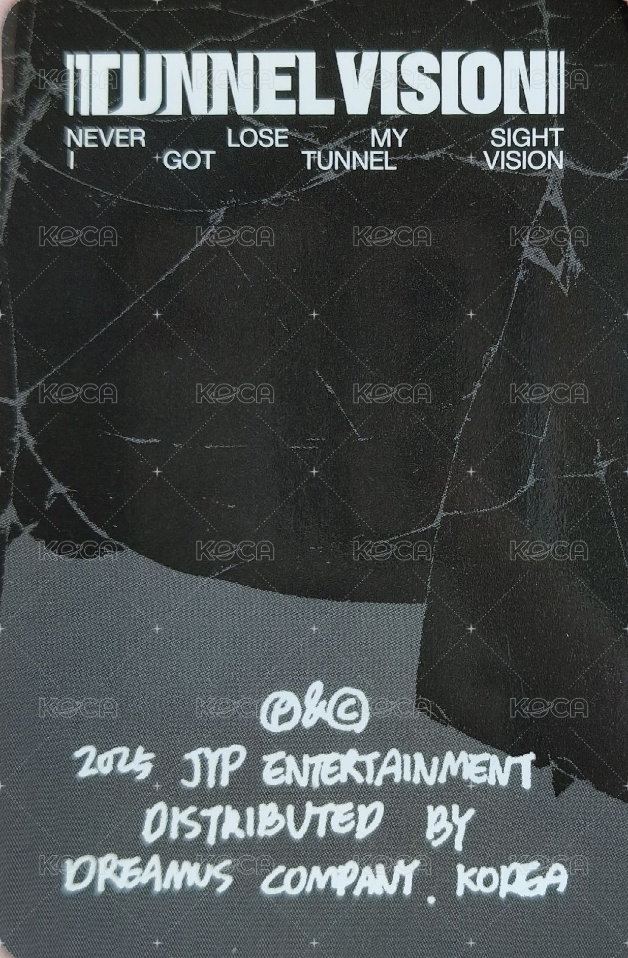 TNVS 特別版 專輯卡  背面