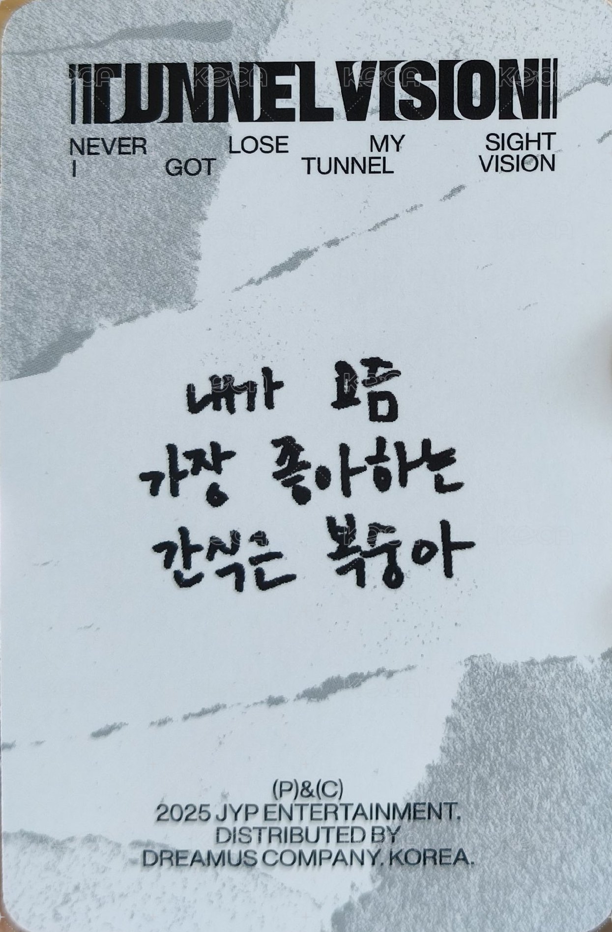 TNVS 特別版 專輯卡  背面