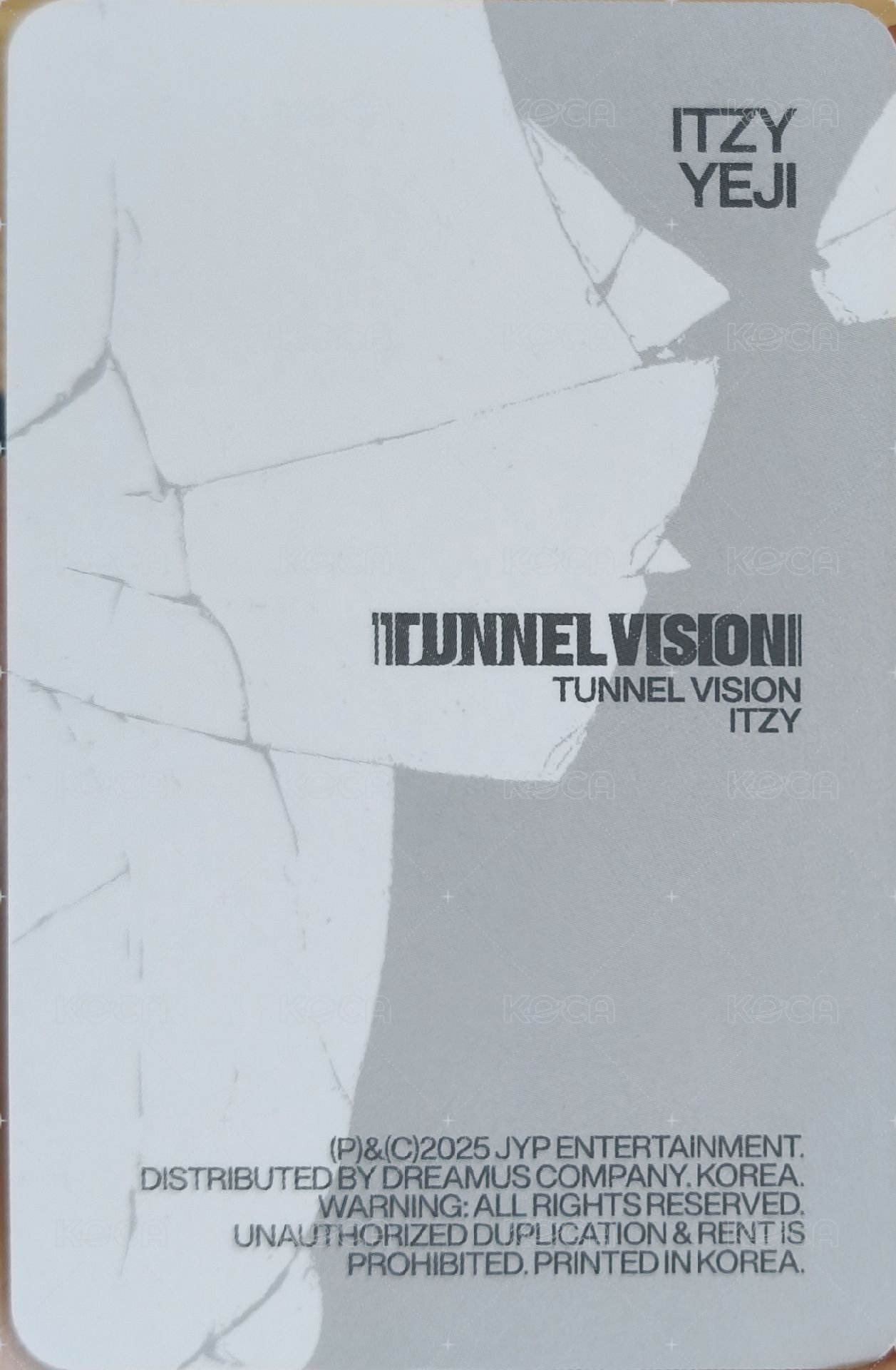 TNVS 特別版 專輯卡 預售禮 背面