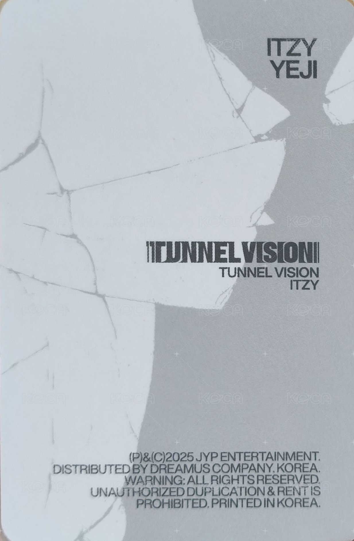 TNVS 特別版 專輯卡 預售禮 背面