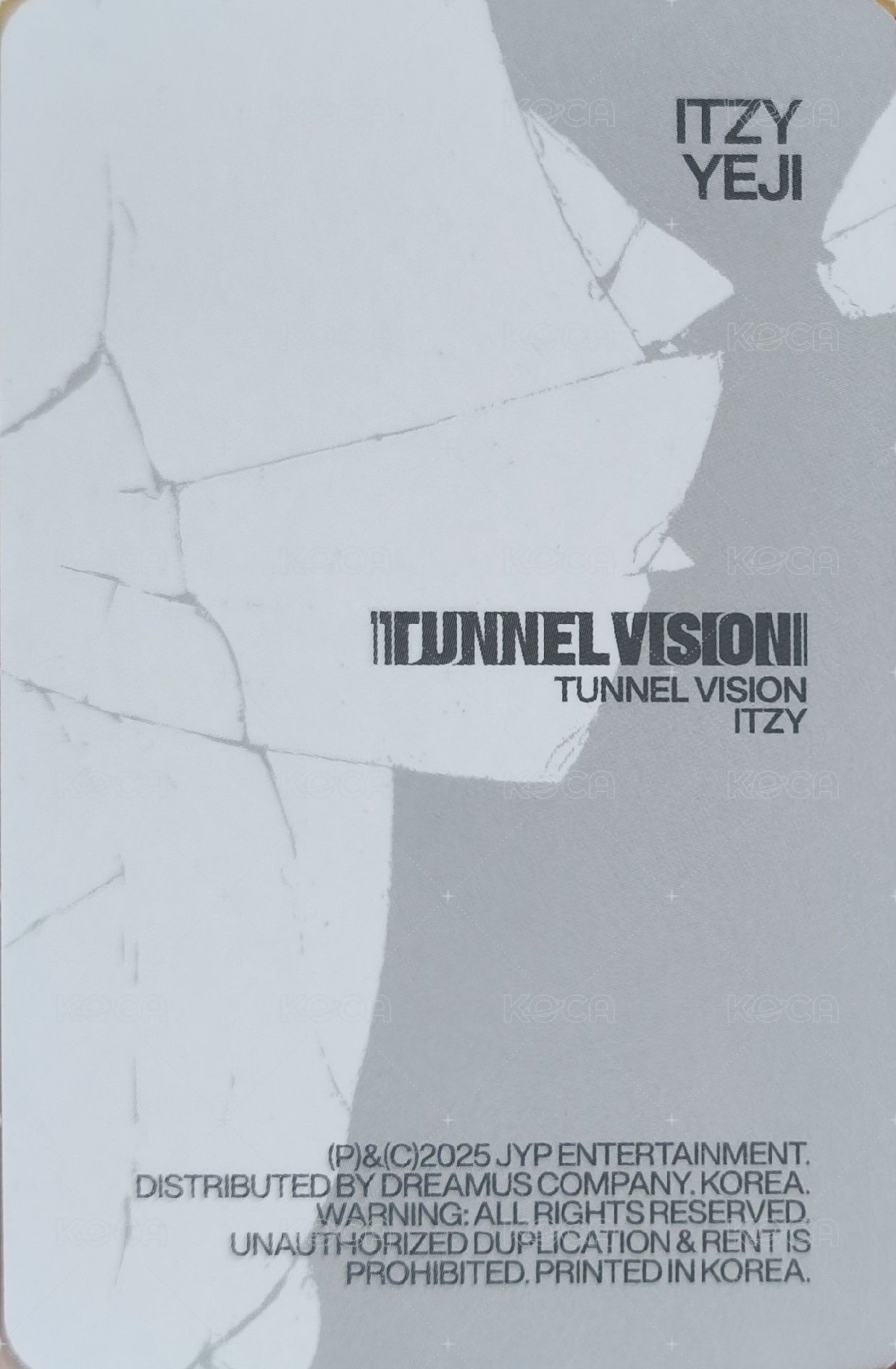 TNVS 特別版 專輯卡 預售禮 背面