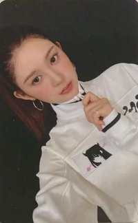 Focus 塔店 特典卡 