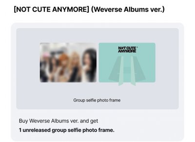 NOT CUTE ANYMORE 電子專