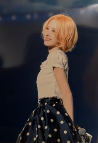 24’演唱會 iDOL 生寫真 