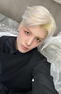 BTL 專輯卡 WVS Albums ver