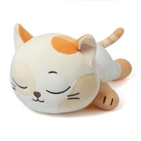 BBNEXDO 趴娃 抱枕 CATBBI 