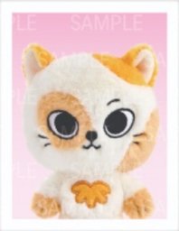 BBNEXDO 原皮娃 周邊卡 證件照