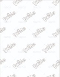 BBNEXDO 原皮娃 周邊卡 證件照 背面