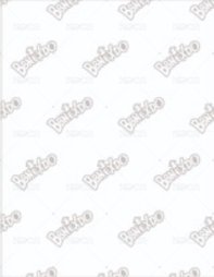 BBNEXDO 原皮娃 周邊卡 證件照 背面