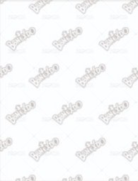 BBNEXDO 原皮娃 周邊卡 證件照 背面