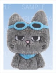 BBNEXDO 原皮娃 周邊卡 證件照