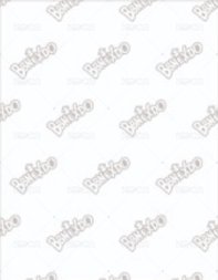 BBNEXDO 原皮娃 周邊卡 證件照 背面