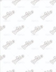 BBNEXDO 原皮娃 周邊卡 證件照 背面