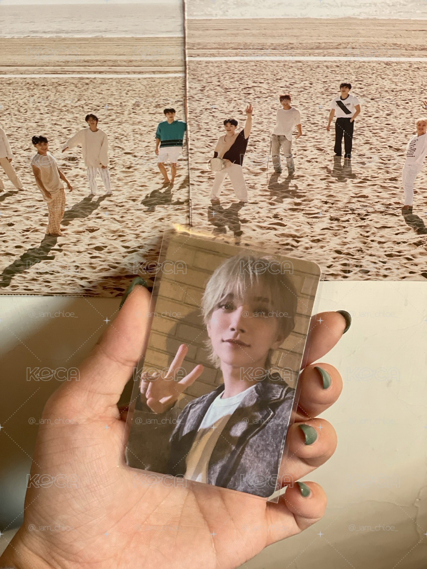🌹SEVENTEEN MINI10 yzy B 秀