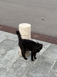 鈞._.