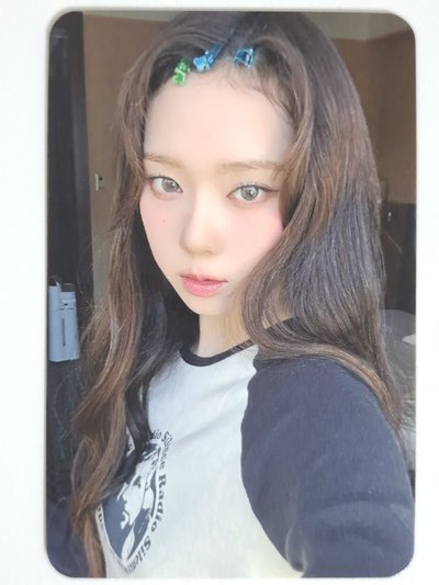 MY WORLD sr 特典卡冬 勇敢狗狗 不怕困難