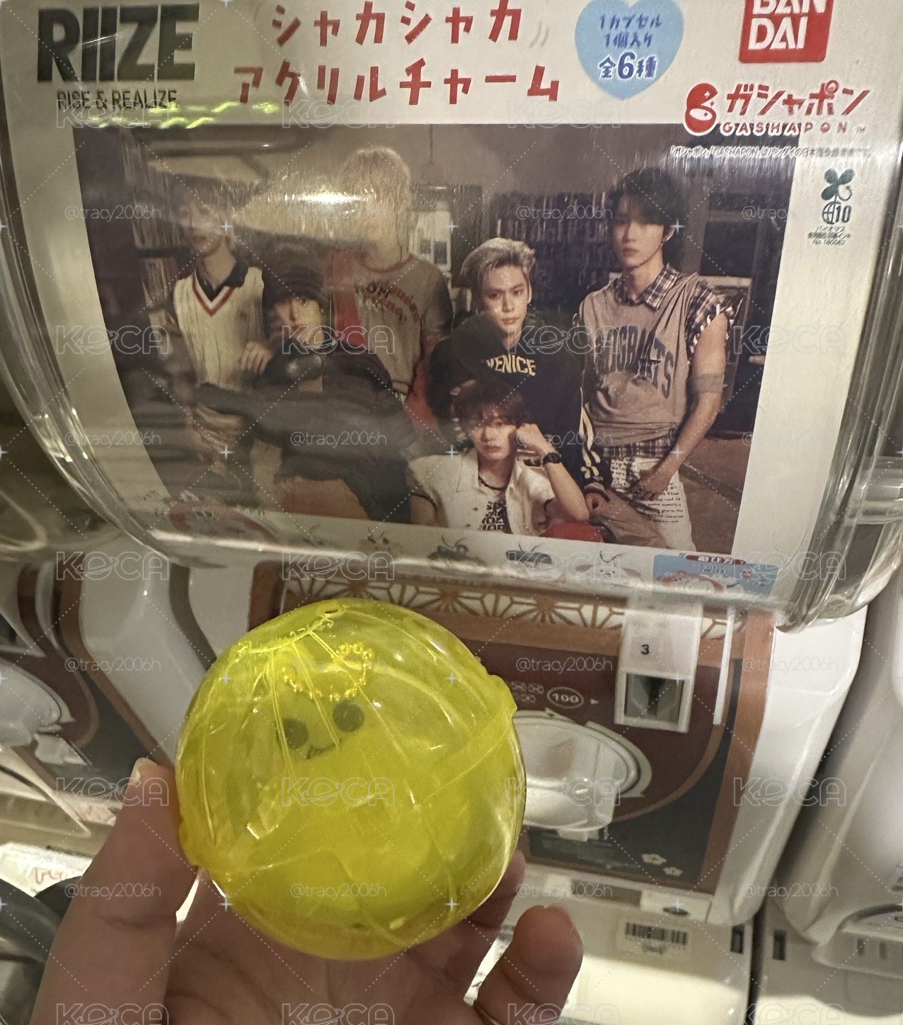 恩奭扭蛋*2