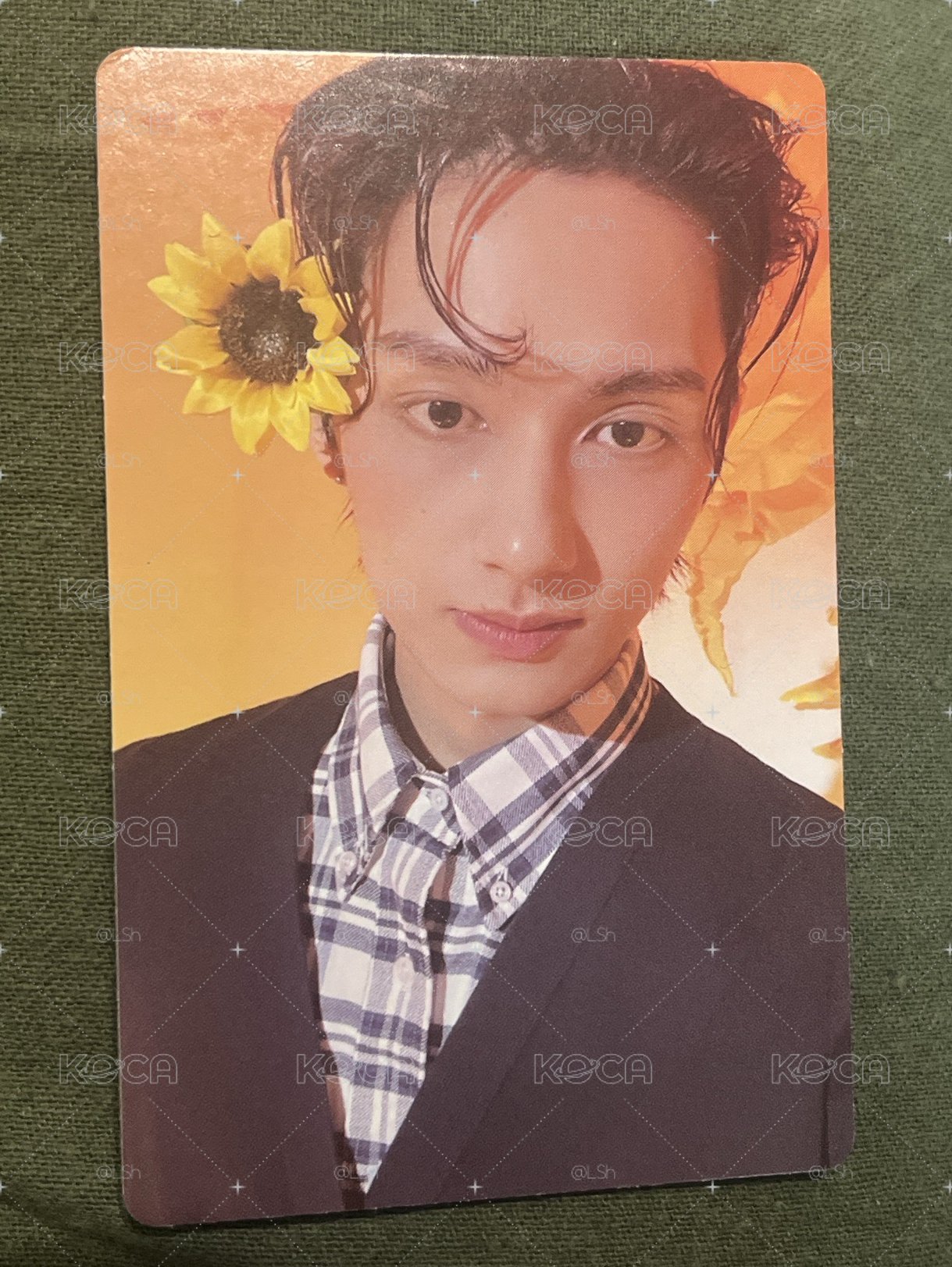 Jun🐱 精選專 固卡