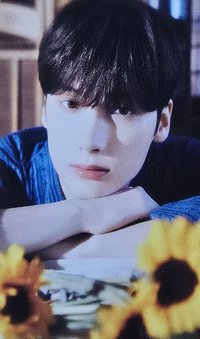 25日本夏日 隨機卡 