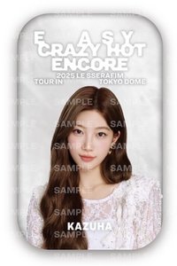 25‘巡迴 東蛋安可 徽章 方徽