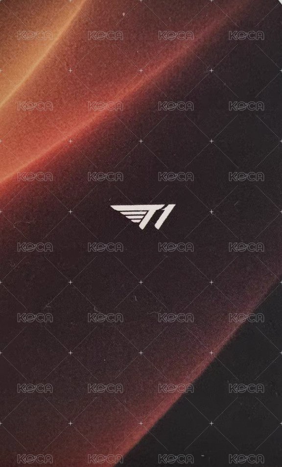 入場卡 / 場限卡  背面