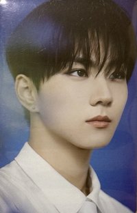 WTL FINAL wvs 隨機卡 元07/08 官拍卡