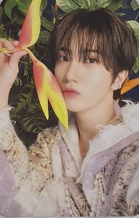 EVERSHINE 專輯卡 NIGHTFALL ver.