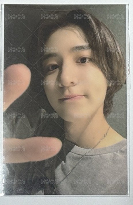 leehan 