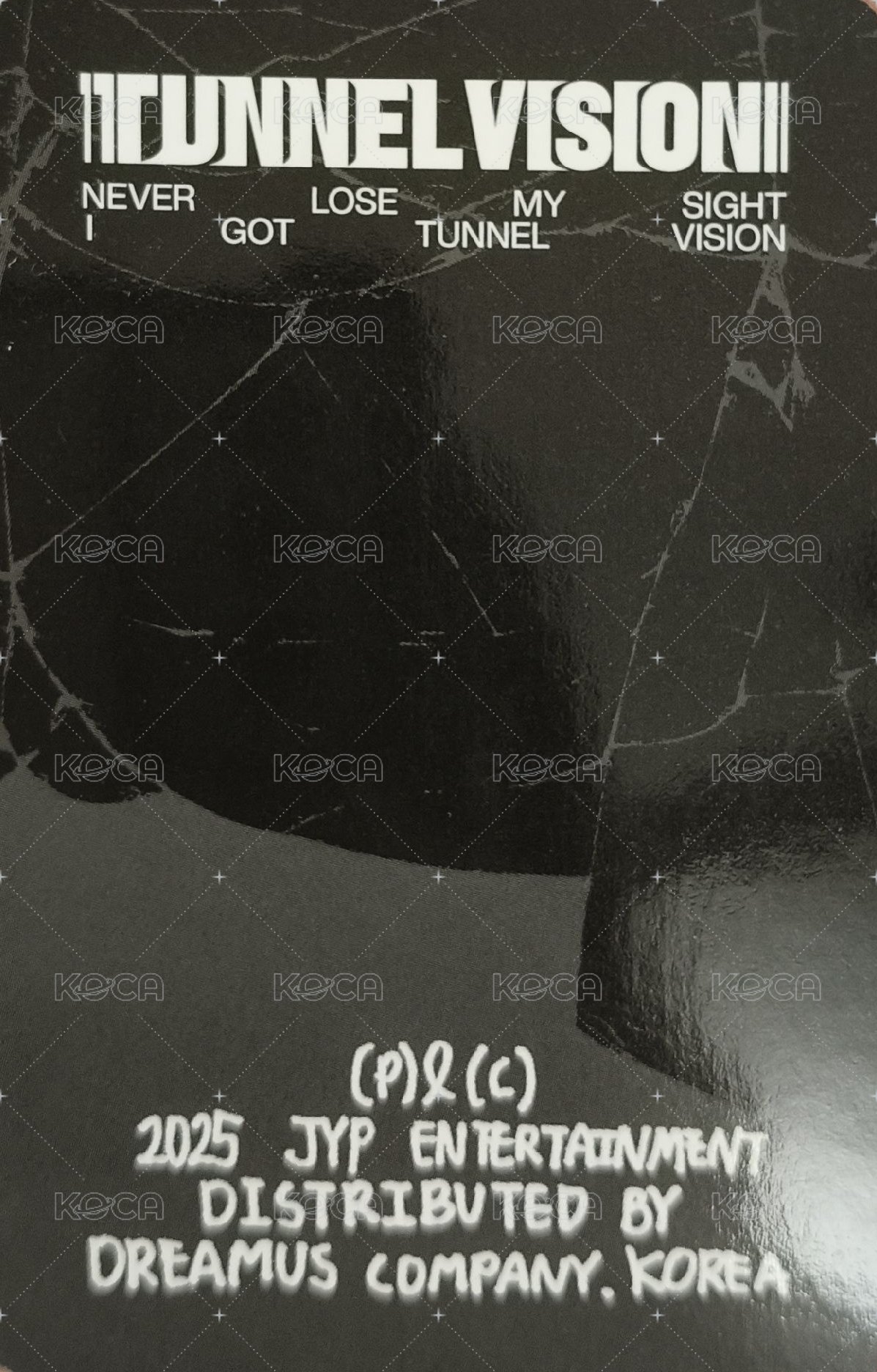 TNVS 特別版 專輯卡  背面